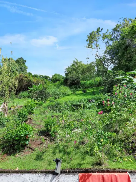 Maison en bord de mer à Saint-Claude avec jardin et vue imprenable - Photo 19