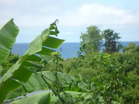 Studio agréable avec vue sur la mer à Marigot - 30 m² + Jardin. - Photo 13