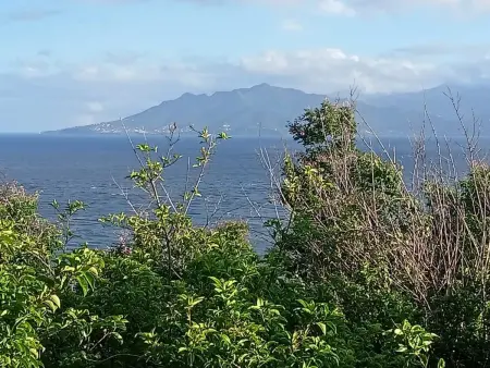 Studio agréable avec vue sur la mer à Marigot - 30 m² + Jardin. - Photo 25