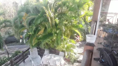 Studio agréable avec vue sur la mer à Marigot - 30 m² + Jardin. - Photo 29