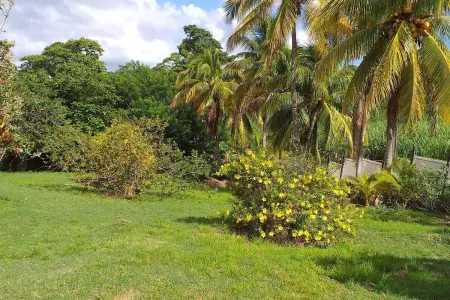 Appartement confortable avec vue sur le jardin - Le Robert - Photo 13