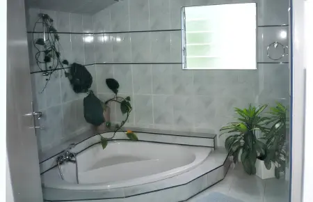 Studio charmant à Saint Joseph, avec piscine partagée, 40 m² - Photo 6