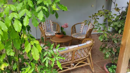 Appartement charmant à Sainte-Rose - 70m² avec terrasse - Photo 11