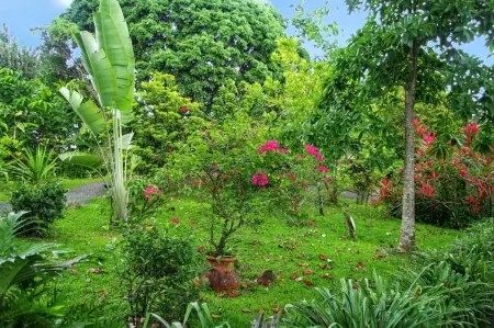 Appartement exquis à Baie-Mahault, 40m² avec jardin agréable - Photo 4
