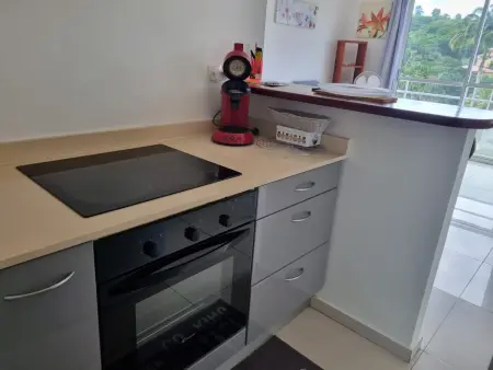 Appartement charmant aux Trois-Îlets 40 m² avec balcon privé - Photo 13
