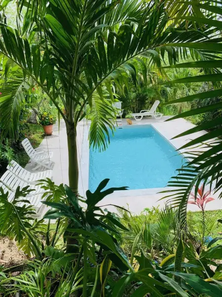 Maison confortable Le Diamant 40 m² avec piscine - Photo 1