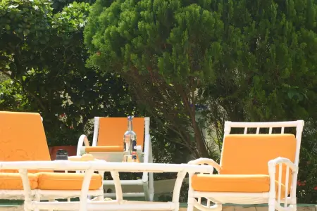Villa élégante à Sainte-Anne avec piscine privée ouverte toute l'année - Photo 15
