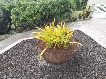 Appartement cosy à La Trinité, 20 m², avec jardin - Photo 8