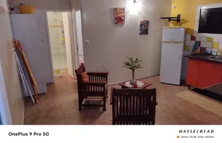 Appartement charmant à Rivière-Pilote - 30 m² avec terrasse - Photo 8