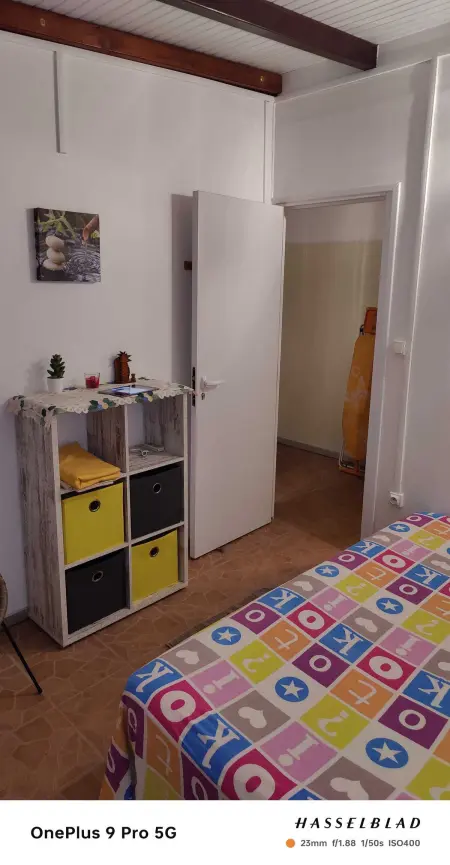 Appartement charmant à Rivière-Pilote - 30 m² avec terrasse - Photo 10