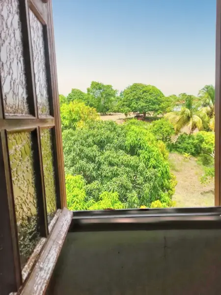Maison confortable avec vue sur la mer à Sainte-Anne - Photo 25