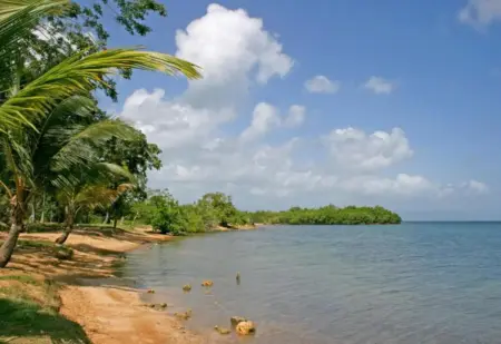 Maison charmante à Morne-à-l'Eau avec jardin clôturé - Photo 15