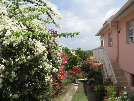 Appartement charmant à Sainte-Anne - Terrasse et Jardin - Photo 10