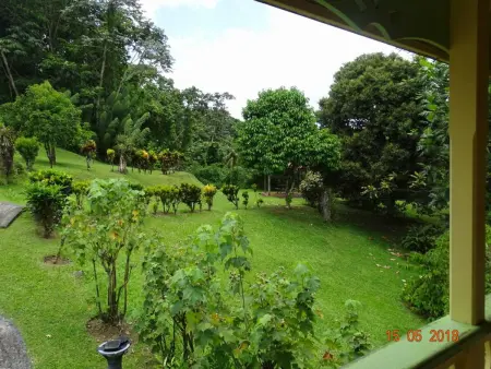 Maison charmante à Gros-Morne avec terrasse et jardin - Photo 32