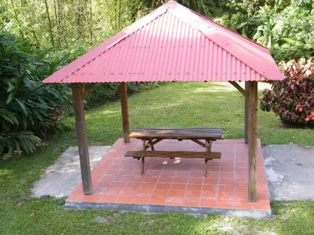 Maison charmante à Gros-Morne avec terrasse et jardin - Photo 34