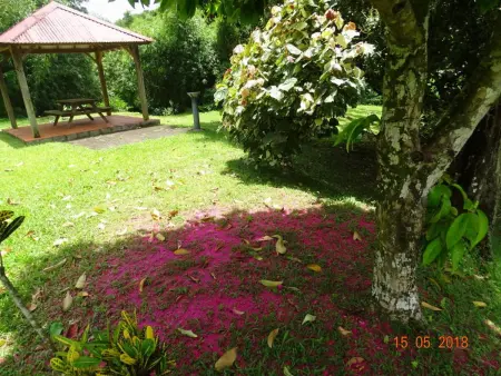 Maison charmante à Gros-Morne avec terrasse et jardin - Photo 35