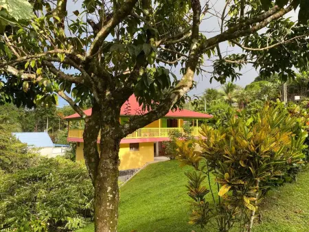 Maison charmante à Gros-Morne avec terrasse et jardin - Photo 42