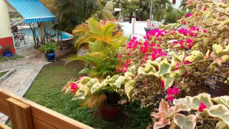 Charmant Bungalow avec Piscine Partagée à Le Gosier - Photo 19