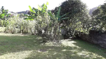 Appartement charmant à Saint-Joseph avec jardin et terrasse, 60 m² - Photo 5