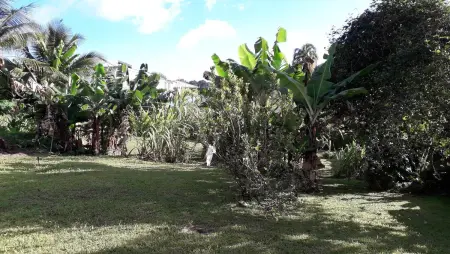 Appartement charmant à Saint-Joseph avec jardin et terrasse, 60 m² - Photo 6