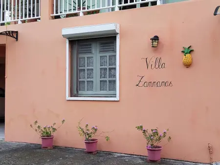 Appartement spacieux près du Diamant avec jardin privatif - Photo 19