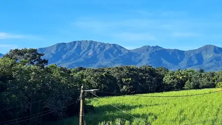 Maison charmante proche de Petit-Bourg avec vue montagne - Photo 23