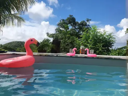 Appartement charmant à Sainte-Luce avec piscine privée - 60 m² - Photo 10