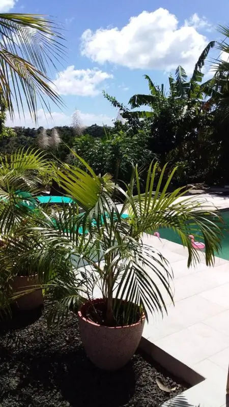 Appartement charmant à Sainte-Luce avec piscine privée - 60 m² - Photo 11