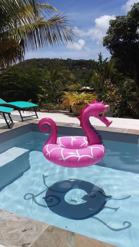 Appartement charmant à Sainte-Luce avec piscine privée - 60 m² - Photo 12