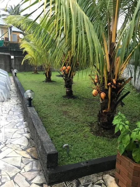 Appartement confort à Sainte-Rose avec piscine partagée - Photo 7