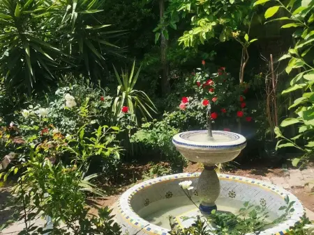 Appartement cosy à Fes El Bali, 25 m², jardin privé - Photo 19