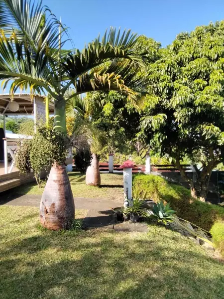 Maison confortable à Saint Paul avec jardin clos - Photo 38