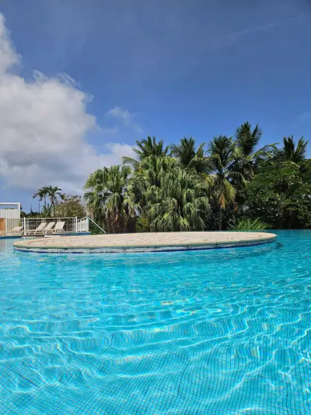 Studio charmant à Saint-François, 42 m² avec piscine partagée. - Photo 8