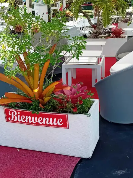 Bungalow charmant à Sainte-Rose avec terrasse et piscine - Photo 1