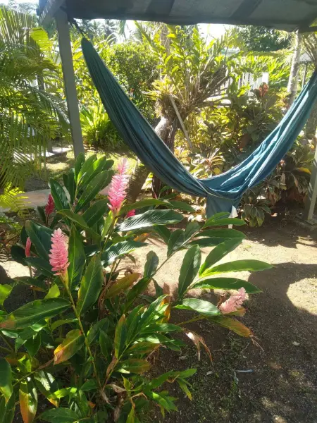 Bungalow charmant à Sainte-Rose avec terrasse et piscine - Photo 12