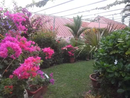 Appartement cosy avec vue sur le jardin à Sainte Anne, 30 m² - Photo 9
