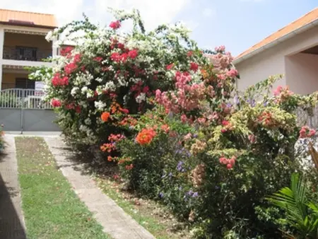 Appartement cosy avec vue sur le jardin à Sainte Anne, 30 m² - Photo 10