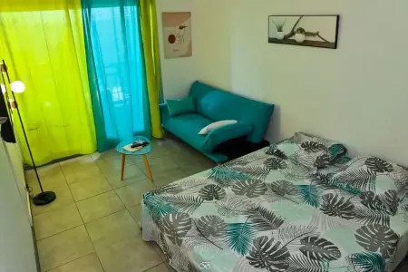 Appartement charmant au Diamant 30 m² avec vue mer - Photo 10
