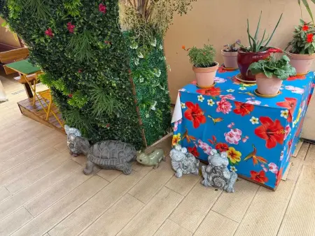 Maison charmante à Fort-de-France avec équipements modernes - Photo 92