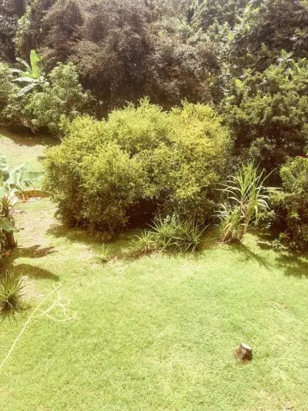 Appartement agréable à La Trinité, 95 m², vue sur le jardin - Photo 5