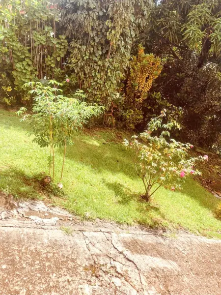 Appartement agréable à La Trinité, 95 m², vue sur le jardin - Photo 13