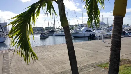 Studio charmant à Saint-François, 35 m² avec piscine partagée - Photo 16