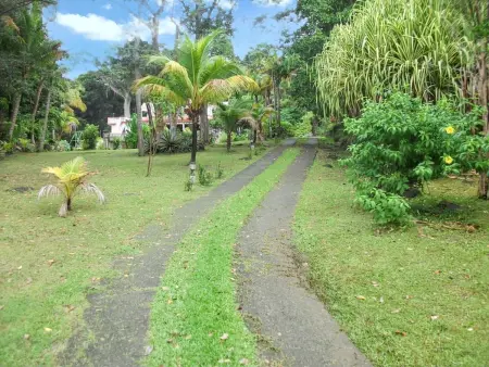 Charme au cœur de Deshaies avec vue jardin et montagne - Photo 9