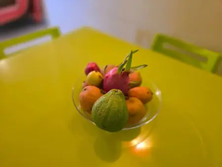 Appartement confortable à Sainte-Luce, 50m², parking inclus. - Photo 38