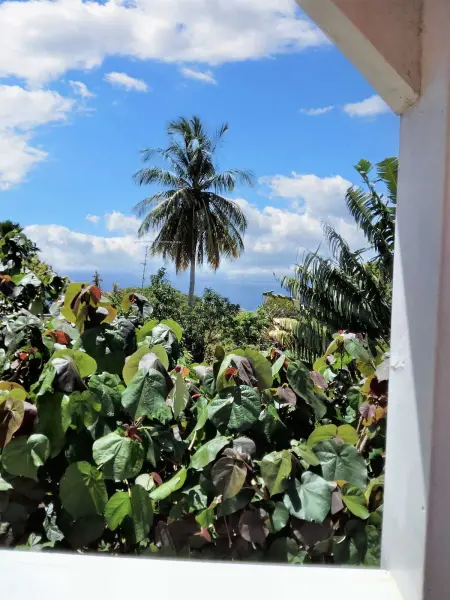 Studio lumineux avec vue sur la mer à Baillif – 45 m² + Terrasse - Photo 13
