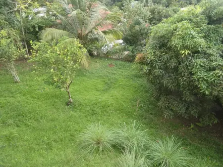 Appartement moderne à Fort-de-France 70 m² - Jardin privé - Photo 21