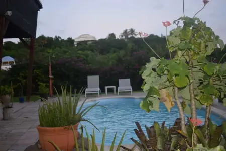 Villa cosy avec piscine privée - Le Gosier., Villa 2 personnes à Le Gosier - Photo 6