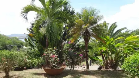 Maison cocooning à La Trinité – Piscine commune - Photo 20