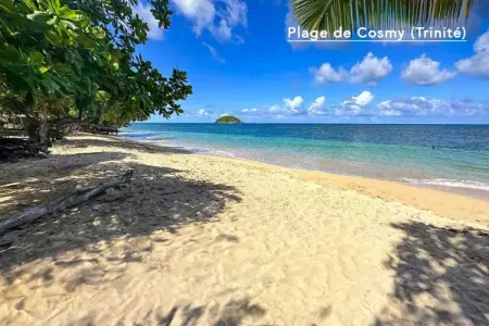 Charmant Appartement avec vue sur la mer au Robert - 30m² - Photo 29