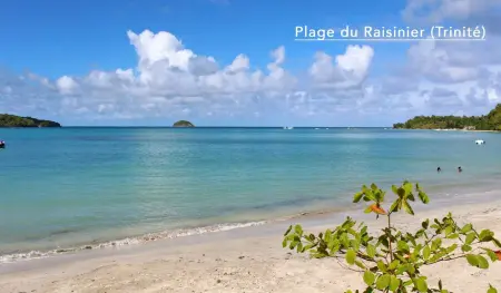 Charmant Appartement avec vue sur la mer au Robert - 30m² - Photo 30
